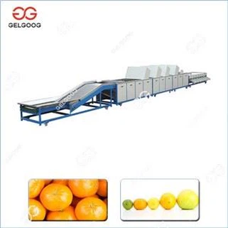 Automatiske maskiner til sortering af citrus