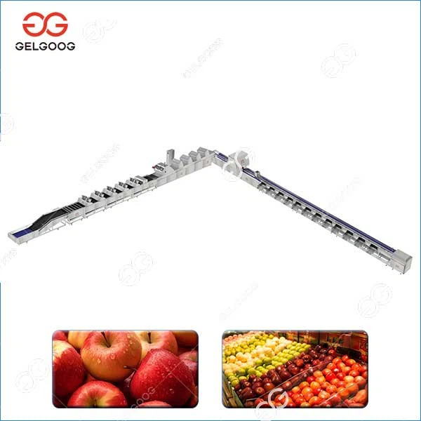Fruit Processing Line